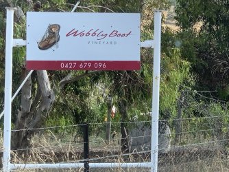 IMG_6369.JPG IMG_6369.JPG