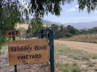 IMG_6370.JPG IMG_6370.JPG