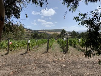 IMG_6379.JPG IMG_6379.JPG