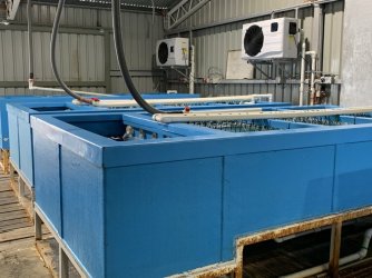 21739868-616D-4D2E-8F69-46D81AF068BE.jpeg 21739868-616D-4D2E-8F69-46D81AF068BE.jpeg