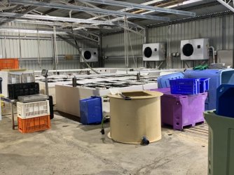 C14C7DD5-CF32-4EFF-A09B-6BF64DE7BC61.jpeg C14C7DD5-CF32-4EFF-A09B-6BF64DE7BC61.jpeg