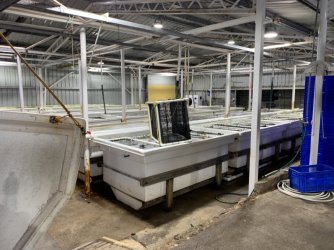 9476220C-5A5F-4514-AF54-31A944D70EF9.jpeg 9476220C-5A5F-4514-AF54-31A944D70EF9.jpeg