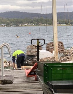 5FDCB54B-1572-4F47-8219-AEF2124F6EB8.jpeg 5FDCB54B-1572-4F47-8219-AEF2124F6EB8.jpeg