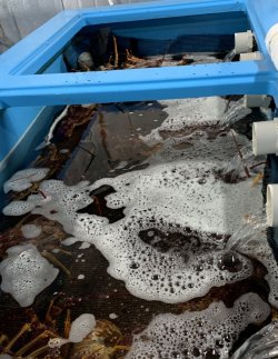 4B8FCCF8-D1A4-4F93-B693-3902FB9F242D.jpeg 4B8FCCF8-D1A4-4F93-B693-3902FB9F242D.jpeg