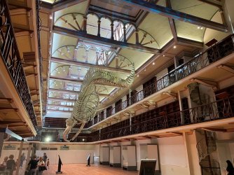 Museum 9.jpg Museum 9.jpg