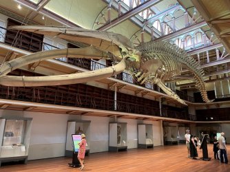 Museum 8.jpg Museum 8.jpg