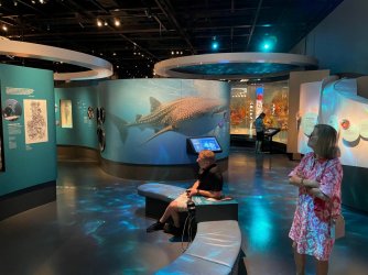 Museum 4.jpg Museum 4.jpg