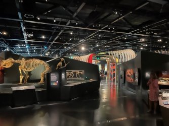 Museum 3.jpg Museum 3.jpg