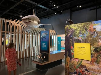 Museum 2.jpg Museum 2.jpg