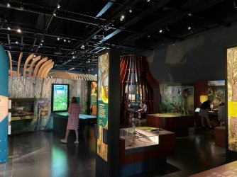 Museum 1.jpg Museum 1.jpg