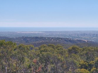 IMG_20210305_150520606_HDR.jpg IMG_20210305_150520606_HDR.jpg