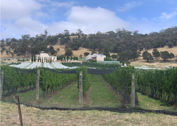 1615182883085.png 1615182883085.png