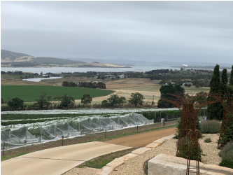 1615182960421.png 1615182960421.png