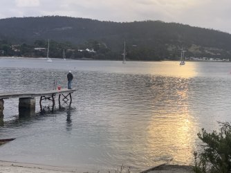 8EB7090E-E5EB-48A6-8036-1B3452E86B83.jpeg 8EB7090E-E5EB-48A6-8036-1B3452E86B83.jpeg