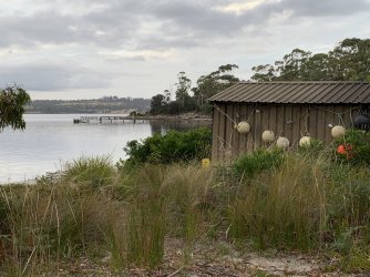 7FAD4B84-22CE-4875-BC1E-EE8A03B475E3.jpeg 7FAD4B84-22CE-4875-BC1E-EE8A03B475E3.jpeg