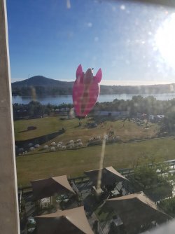 20210309_081004.jpg 20210309_081004.jpg