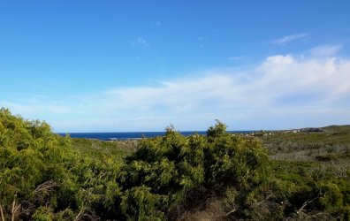 20210310_082741-1.jpg 20210310_082741-1.jpg