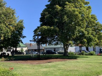 C2C867E9-03BF-476D-AEF3-B0A5EB0831EE.jpeg C2C867E9-03BF-476D-AEF3-B0A5EB0831EE.jpeg