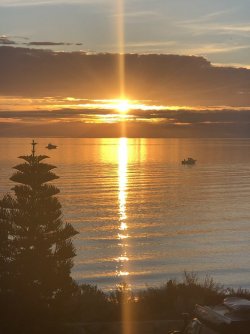 B664E0C5-834D-4503-851F-01F517C15374.jpeg B664E0C5-834D-4503-851F-01F517C15374.jpeg