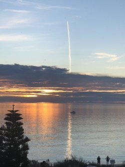 92F16EB1-8F00-4AB9-B22E-B1825B570C05.jpeg 92F16EB1-8F00-4AB9-B22E-B1825B570C05.jpeg