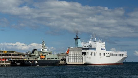 sycamore_liekut_a7R3_06442.jpg sycamore_liekut_a7R3_06442.jpg