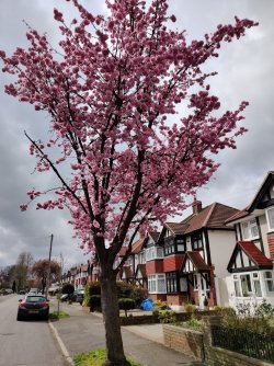 2021-03-26 12.08.44.jpg 2021-03-26 12.08.44.jpg