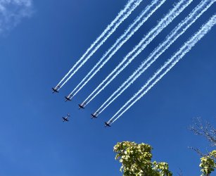 Roulettes 1.jpg