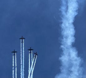 Roulettes 3.jpg