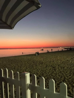 1617413539614.png 1617413539614.png