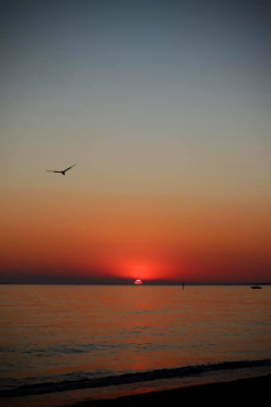 1617413705576.png 1617413705576.png