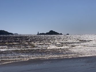 8B092498-ED77-48A2-8884-B4EFE48E28F2.jpeg 8B092498-ED77-48A2-8884-B4EFE48E28F2.jpeg