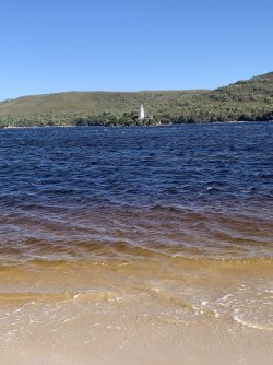 AF8F9B3D-95AC-429E-B088-7F43C7EF73A7.jpeg AF8F9B3D-95AC-429E-B088-7F43C7EF73A7.jpeg