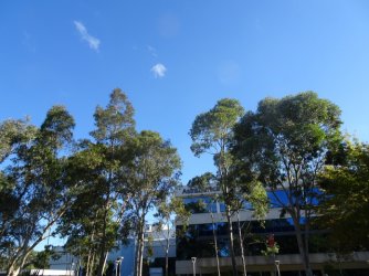 1617430728849.jpeg 1617430728849.jpeg