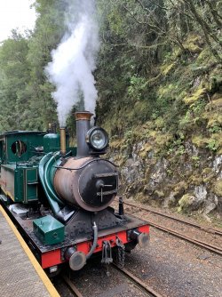 D5410FC8-4F4F-4A5F-8765-705D35784BAE.jpeg D5410FC8-4F4F-4A5F-8765-705D35784BAE.jpeg