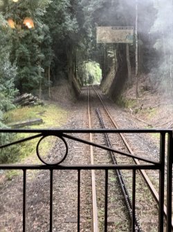 8AFF8807-C8D5-4E90-A36D-B6D654F64AC8.jpeg 8AFF8807-C8D5-4E90-A36D-B6D654F64AC8.jpeg