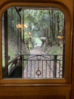 DB3345CF-1C31-4444-ADDD-E5FE7A231B22.jpeg DB3345CF-1C31-4444-ADDD-E5FE7A231B22.jpeg