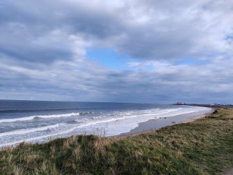 2021-04-13 17.31.12.jpg