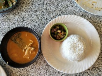 Nyonyafish.jpg Nyonyafish.jpg