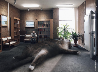 Screen Shot 2021-04-18 at 1.41.21 pm.png Screen Shot 2021-04-18 at 1.41.21 pm.png