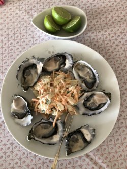 137C1278-E584-47FF-BF66-214FF7AC7EFA.jpeg 137C1278-E584-47FF-BF66-214FF7AC7EFA.jpeg