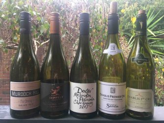 chardonnay.jpg chardonnay.jpg