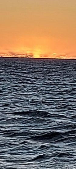 20210414_180911.jpg 20210414_180911.jpg