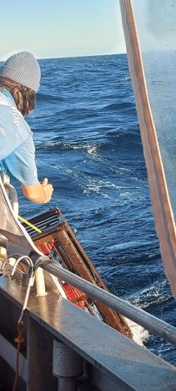 20210415_071731.jpg 20210415_071731.jpg