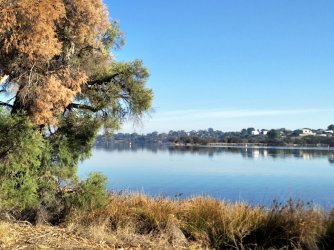 River1.jpg River1.jpg