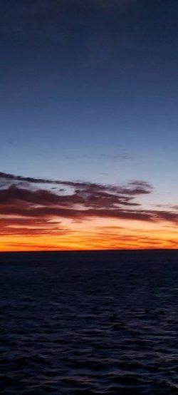 20210416_184250.jpg 20210416_184250.jpg