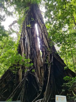 FB_IMG_1619785843592.jpg FB_IMG_1619785843592.jpg