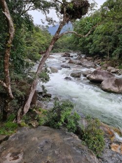 FB_IMG_1619785862487.jpg FB_IMG_1619785862487.jpg