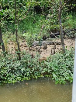 FB_IMG_1619785890525.jpg FB_IMG_1619785890525.jpg