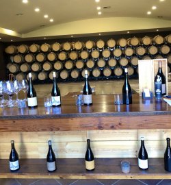 0FB4E5A5-3682-4C1A-B6B0-08C6E50141CD.jpeg 0FB4E5A5-3682-4C1A-B6B0-08C6E50141CD.jpeg