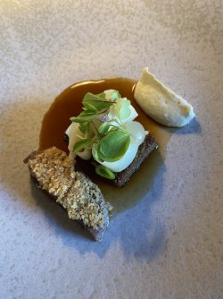 1DDB7FF0-9D4A-4100-B6C8-19A0893BF391.jpeg 1DDB7FF0-9D4A-4100-B6C8-19A0893BF391.jpeg